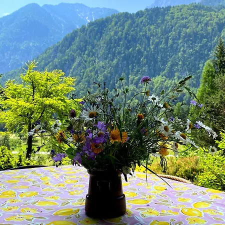 بيت للعطل Primula Cottage, A Step Away From كْرانْيِسكا غورا