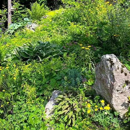 Primula Cottage, A Step Away From Kranjska Gora